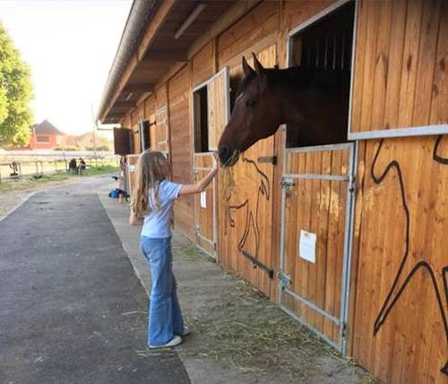 Galerie photos - Au manège gourmand - Restaurant Eckwersheim - restaurant Olwisheim