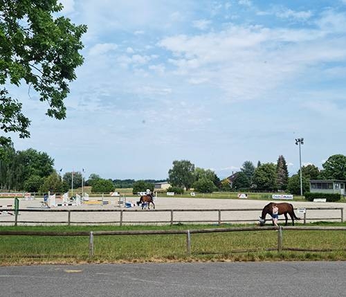 Galerie photos - Au manège gourmand - Restaurant Eckwersheim - Restaurant alentour Strasbourg