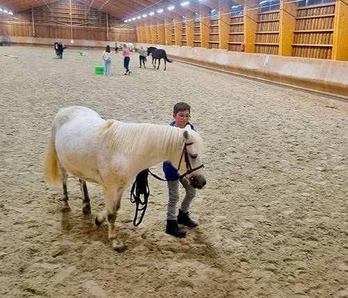 Galerie photos - Au manège gourmand - Restaurant Eckwersheim - Club hippique Eckwersheim